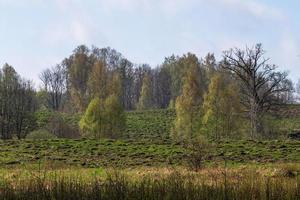 paisagens da primavera letã foto