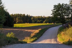 paisagens de verão letãs foto