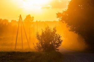 paisagens de verão letãs foto