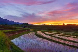 paisagem asiática ao nascer do sol sobre montanhas e campos de arroz foto