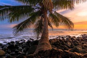 paisagem asiática ao pôr do sol na praia com coqueiros