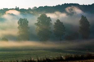 paisagens de verão letãs foto