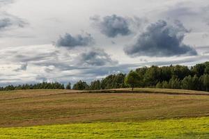 paisagens de verão na letônia foto