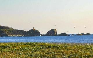 natureza falésias rochas prado praia ondas palma em zicatela méxico. foto