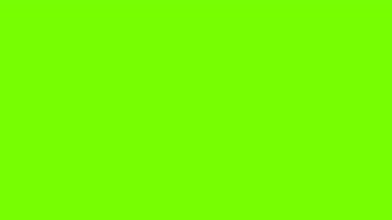 verde limão padrão simples ou verde neon fundo de cor sólida espaço vazio sem nada para o fundo da sala de estúdio e anúncio de exibição ou produto ou modelo de site. foto