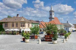 mercado na popular vila vinícola de ferrugem, neusiedler see, burgenland, áustria foto