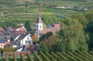vila vinícola de achkarren, região vinícola de kaiserstuhl, floresta negra, alemanha, foto
