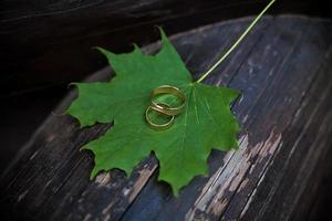 anéis de casamento em folhas de bordo verdes foto