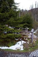 belo caminho para o olho do mar na polônia. a estrada para a floresta. altos tatras. foto