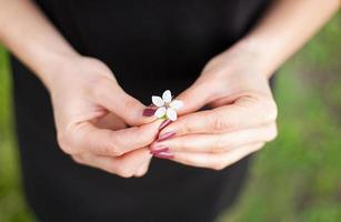 mão de mulher com uma flor de primavera. flor de sakura foto