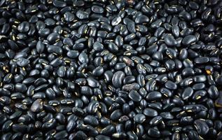 sementes de grãos de fundo de textura de feijão preto foto