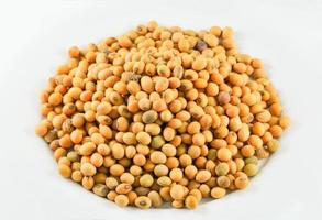 sementes de soja ou grãos de soja em fundo branco foto
