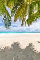 bela paisagem de viagem, natureza de praia ensolarada. folhas de palmeira e areia branca perto do mar azul. paisagem tropical, cenário de praia para férias de verão e banner de férias. vista inspiradora da natureza foto