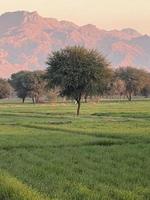 montanhas e árvores em uma terra foto