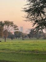 montanhas e árvores em uma terra foto