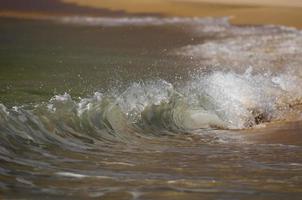 uma onda quebrando na costa de areia foto