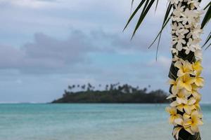 flores de frangipani para casamento na praia de areia tropical foto