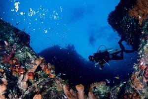 mergulhador debaixo d'água perto de esponja gigante no oceano foto