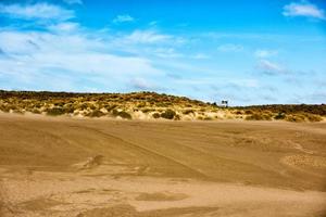 dunas de areia da praia deserta em dia de vento foto