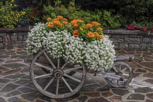 flores em um carrinho de vagão de carruagem de madeira foto