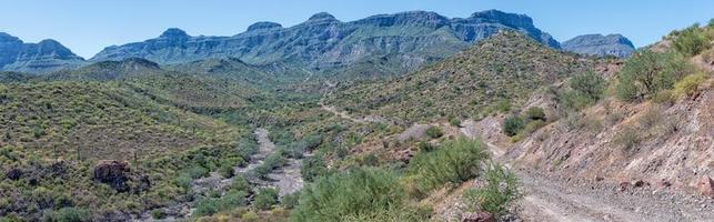 baja califórnia deserto estrada sem fim paisagem vista foto