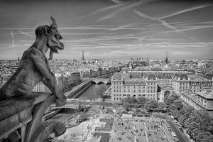 vista de paris notre dame gorgoyle foto