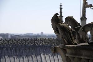 escultura e telhado da estátua da catedral de notre dame paris antes do incêndio foto