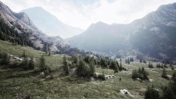 estrada de montanha sinuosa sobre prados alpinos na borda da floresta foto