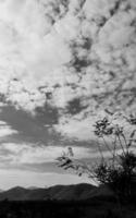 imagem vertical da paisagem, céu vintage de nuvens brancas, árvore alta de vista superior da luz do dia, com fundo de montanha ao redor do campo. tailândia. foto