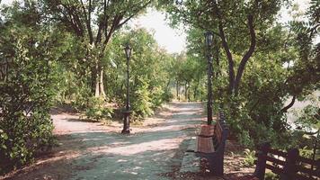 rua pedonal com vista natural no parque público foto