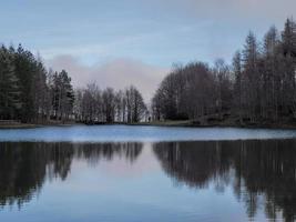 floresta de faias com uma árvore muito velha no lago calamone ventasso itália foto