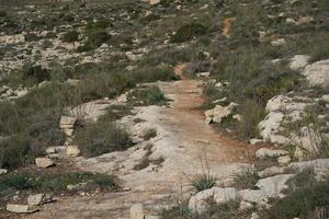 malta templo megalítico sítio arqueológico foto