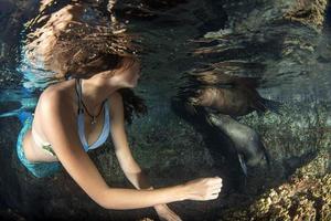 sereia nadando debaixo d'água no mar azul profundo com uma foca foto