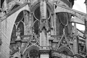 estátuas e gárgulas de notre dame paris foto