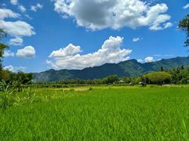 belo panorama rural. dia ensolarado foto