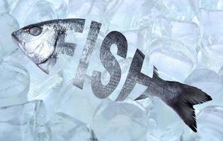 peixe fresco, peixe dourado, peixe de texto criativo em um fundo de cubos de gelo. foto
