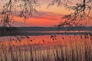 lago faehrsee perto de templin, uckermark, brandemburgo, alemanha foto