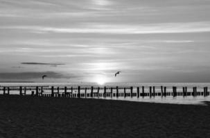 pôr do sol no mar Báltico em preto e branco. mar, quebra-mar cores fortes. período de férias foto