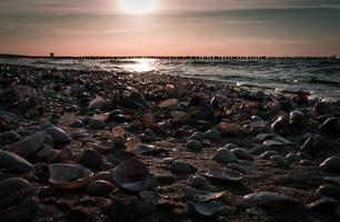 praia de conchas à beira-mar no mar báltico. pôr do sol, espigões ao fundo. costa foto