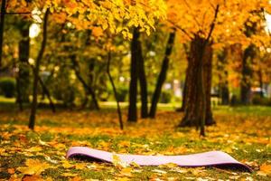 tapete de ioga vazio encontra-se nas folhas de outono