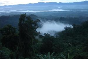 a beleza da natureza em bangladesh foto