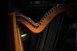 detalhe de cordas de harpa isolado em preto foto