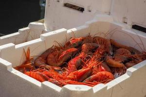 camarão fresco em caixa de isopor no barco de pesca foto