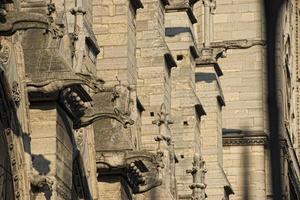 estátuas e gárgulas de notre dame paris foto