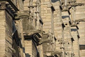 estátuas e gárgulas de notre dame paris foto