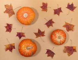 outono composição plana leiga. vista acima para folhas de plátano secas e abóboras laranja dispostas em fundo bege pastel. foto