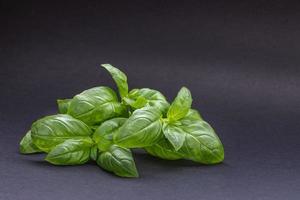 folhas verdes de manjericão fresco em fundo cinza escuro. foto