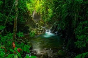 paisagem indonésia pela manhã com uma cachoeira dentro de uma bela floresta tropical foto