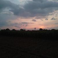 foto da natureza ao pôr do sol no campo