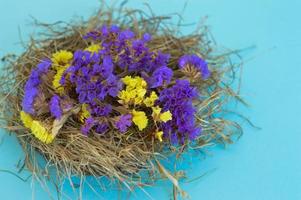 cartão de primavera com flores em um ninho em um fundo azul. foto